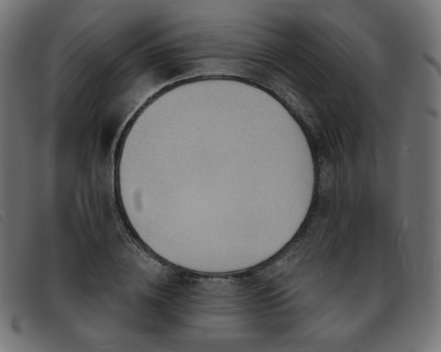 X0000093480836200710121444