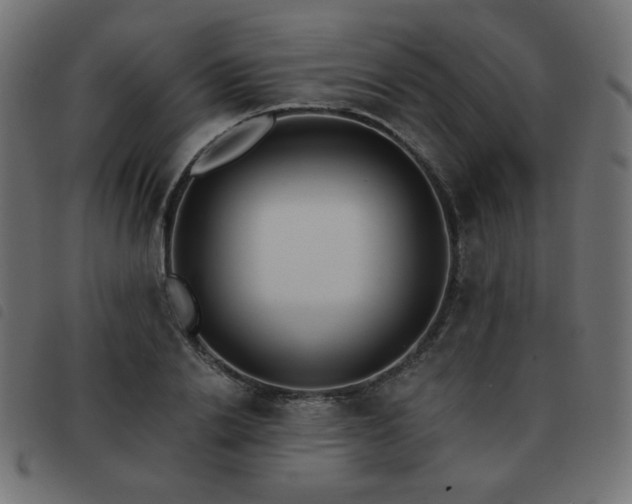 X0000093480838200710121444