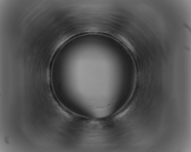 X0000093480839200710121444