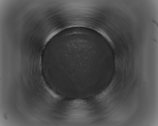 X0000093480842200710121444