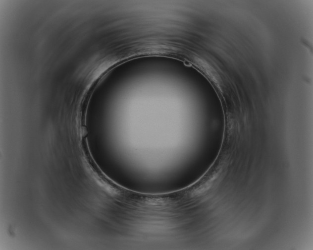X0000093480843200710121444