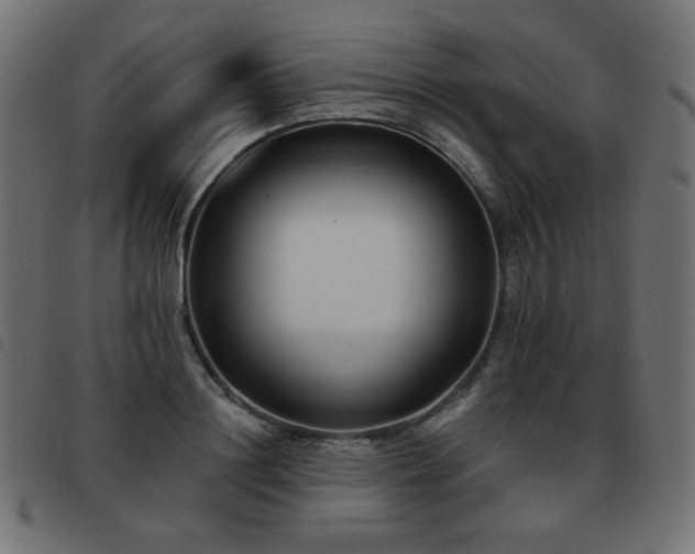 X0000093480844200710121444
