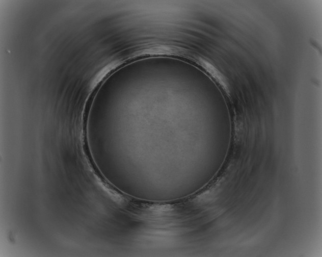 X0000093480845200710121444