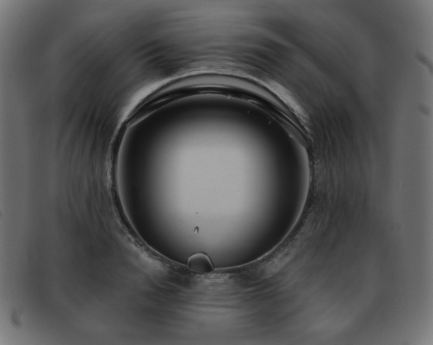 X0000093480846200710121444