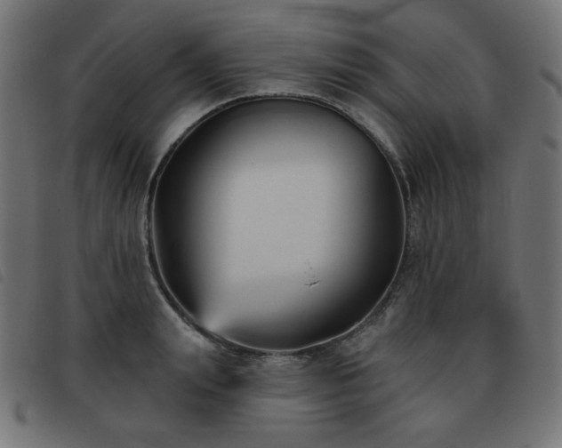 X0000093480847200710121444