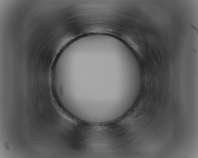 X0000093480848200710121444