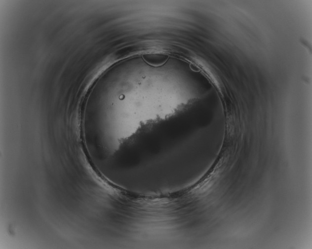 X0000093480851200710121444