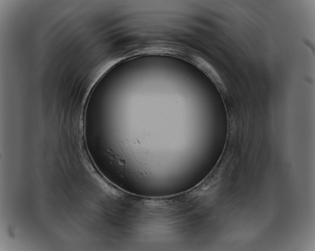 X0000093480852200710121444