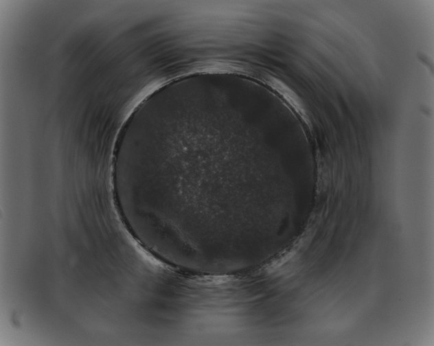 X0000093480853200710121444