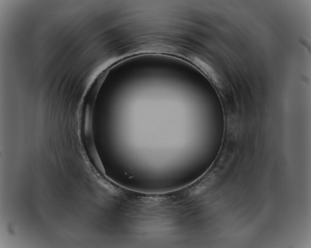 X0000093480854200710121444