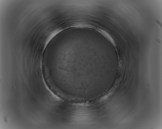 X0000093480855200710121444