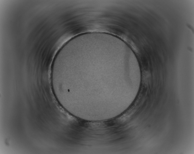 X0000093480856200710121444