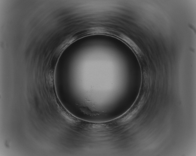 X0000093480857200710121444