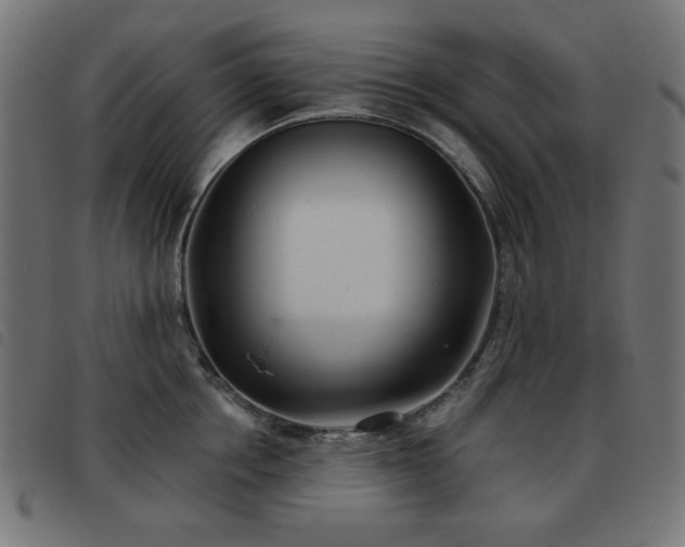 X0000093480858200710121444