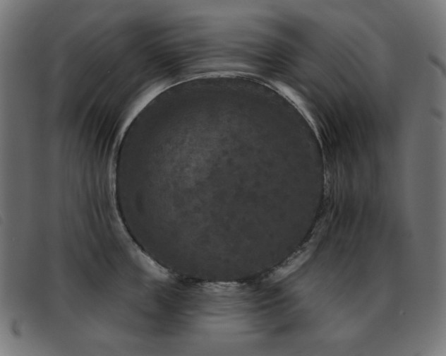 X0000093480859200710121444