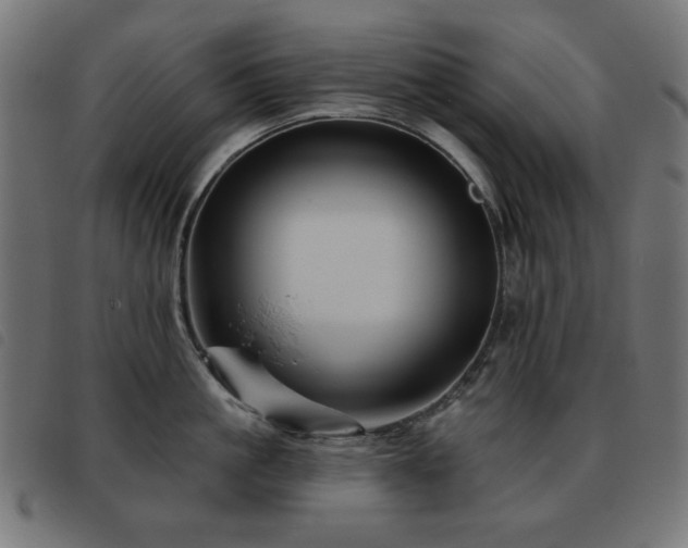 X0000093480861200710121444