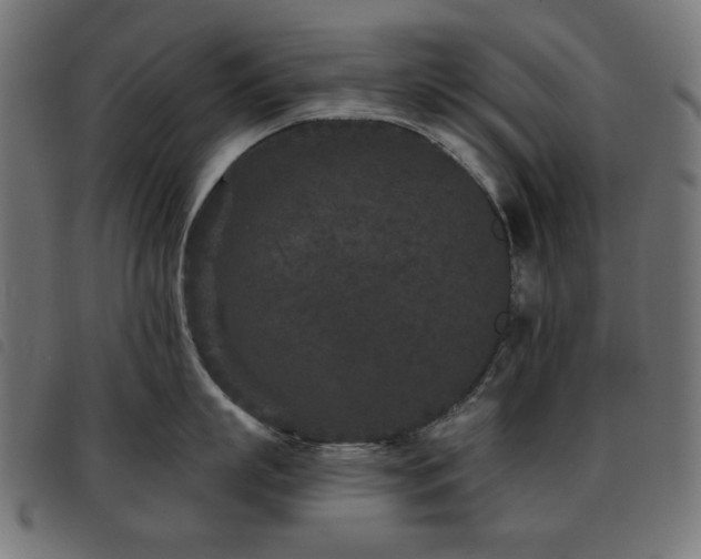 X0000093480863200710121444