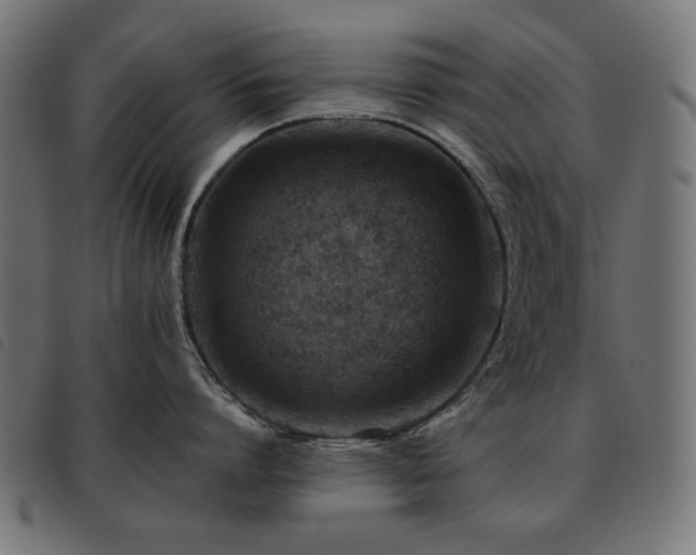 X0000093480864200710121444