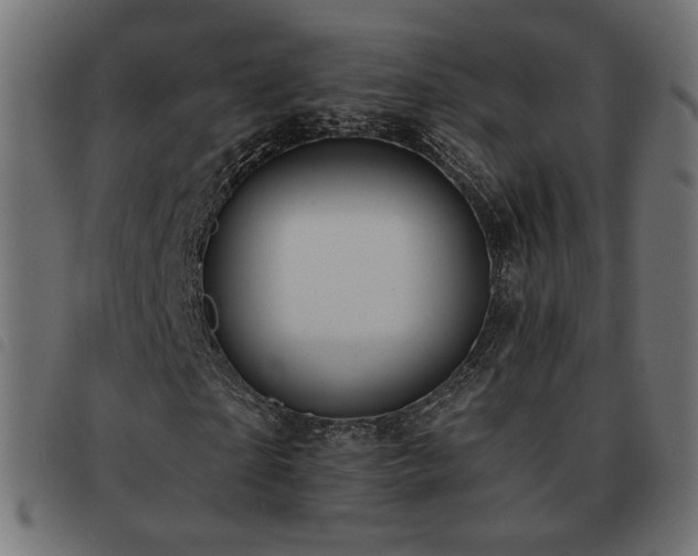 X0000093480865200710121443