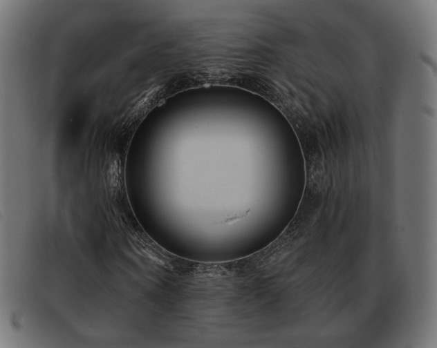 X0000093480866200710121443