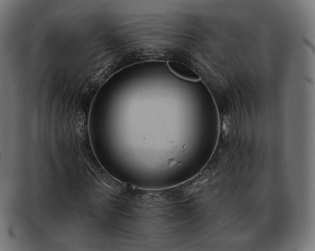 X0000093480867200710121443