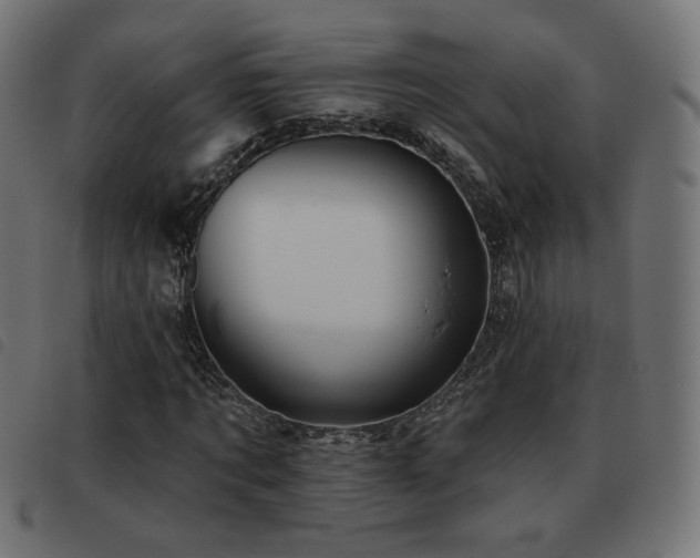 X0000093480869200710121443