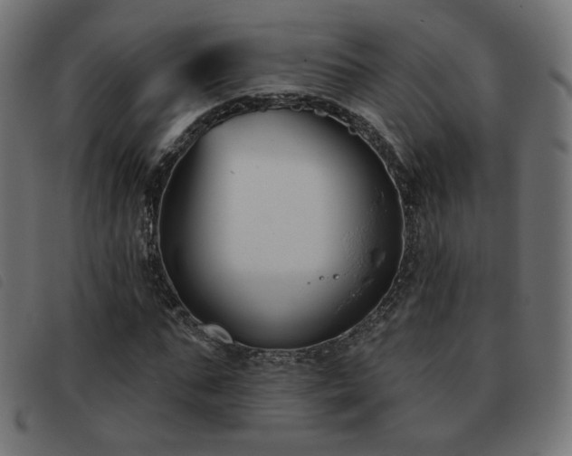 X0000093480871200710121443