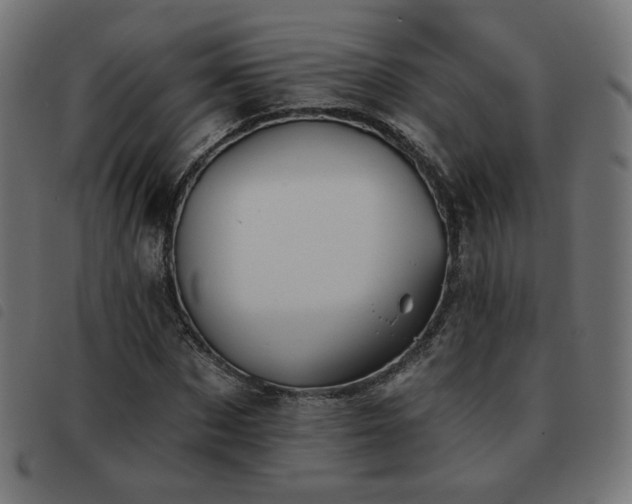 X0000093480873200710121443
