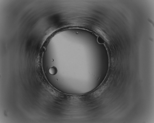 X0000093480875200710121443