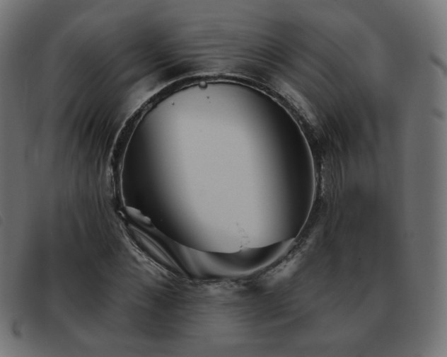 X0000093480876200710121443