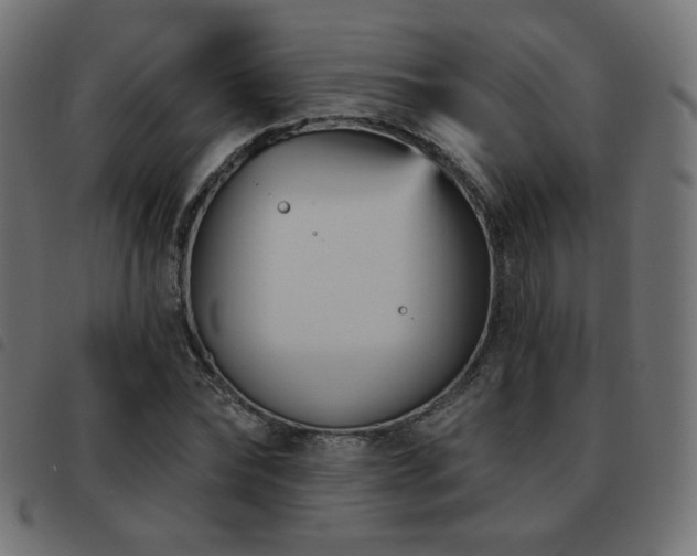 X0000093480878200710121443