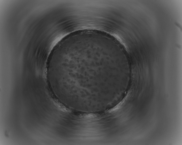 X0000093480879200710121443