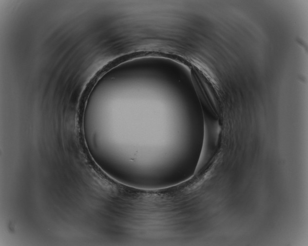 X0000093480880200710121443