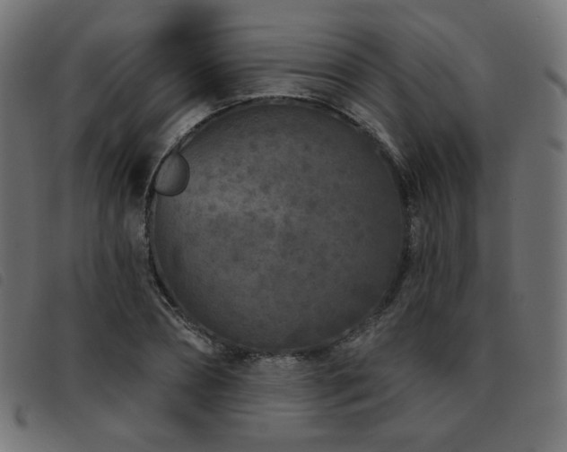 X0000093480882200710121443