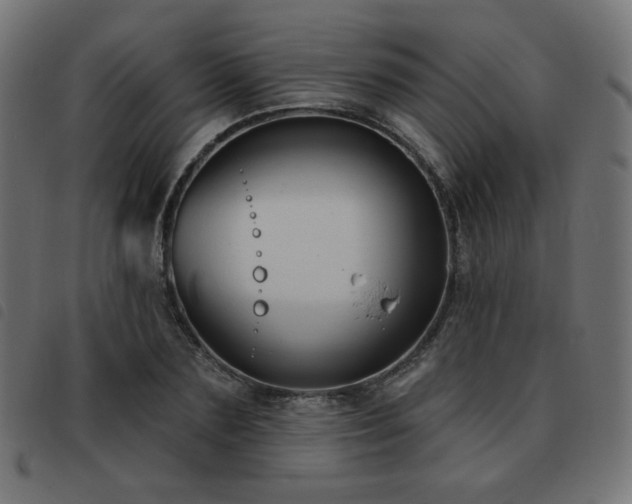 X0000093480883200710121443