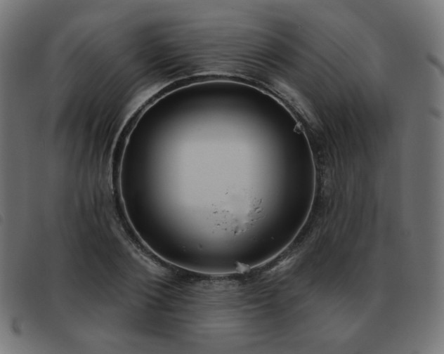 X0000093480884200710121443
