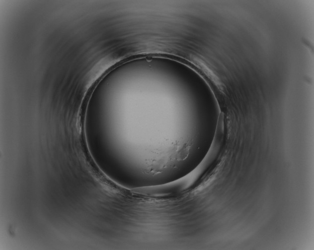 X0000093480885200710121443