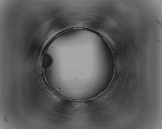 X0000093480886200710121443