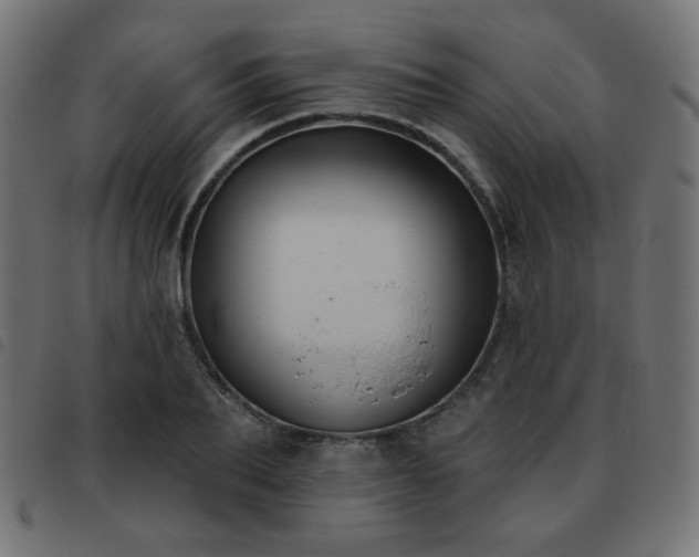 X0000093480887200710121443