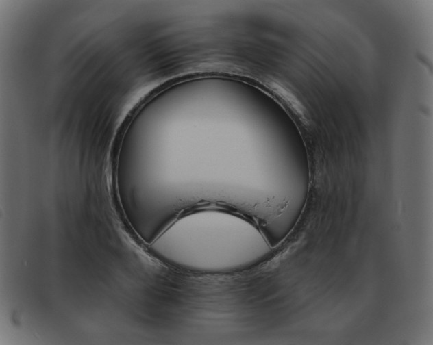 X0000093480888200710121443