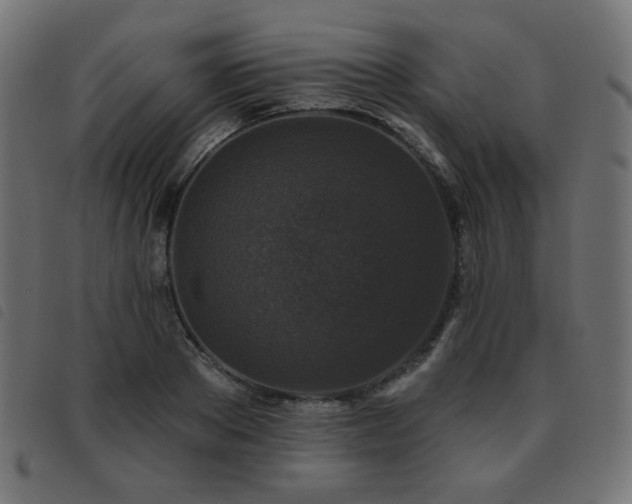 X0000093480889200710121443