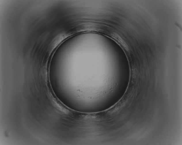 X0000093480890200710121443