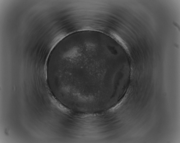 X0000093480892200710121443