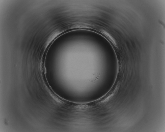 X0000093480893200710121443
