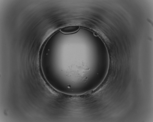 X0000093480894200710121443