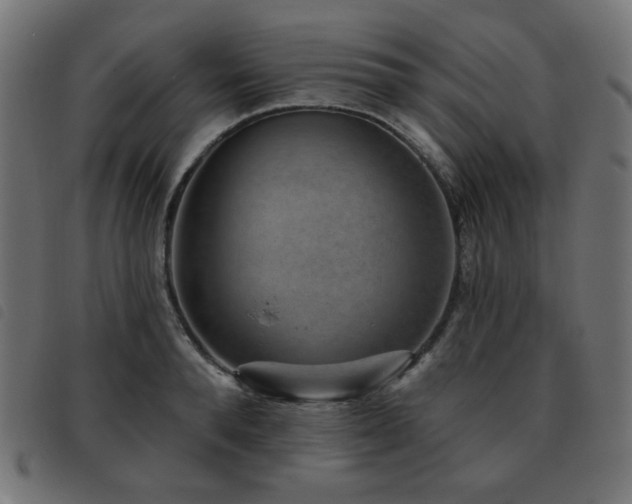 X0000093480896200710121443