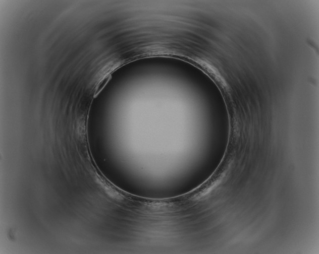 X0000093480897200710121443