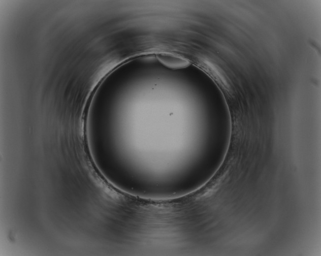 X0000093480900200710121443