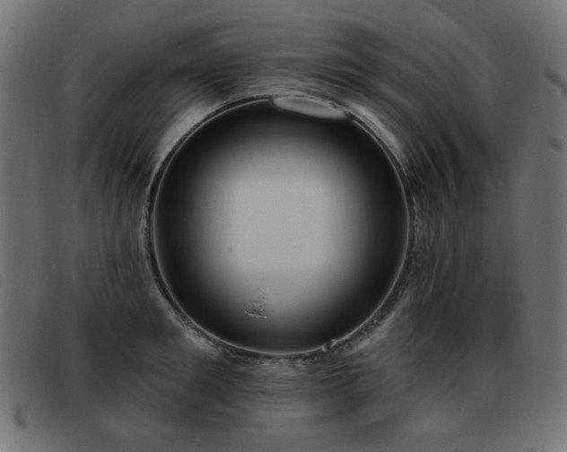 X0000093480901200710121443