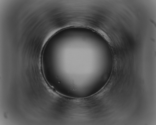 X0000093480904200710121443